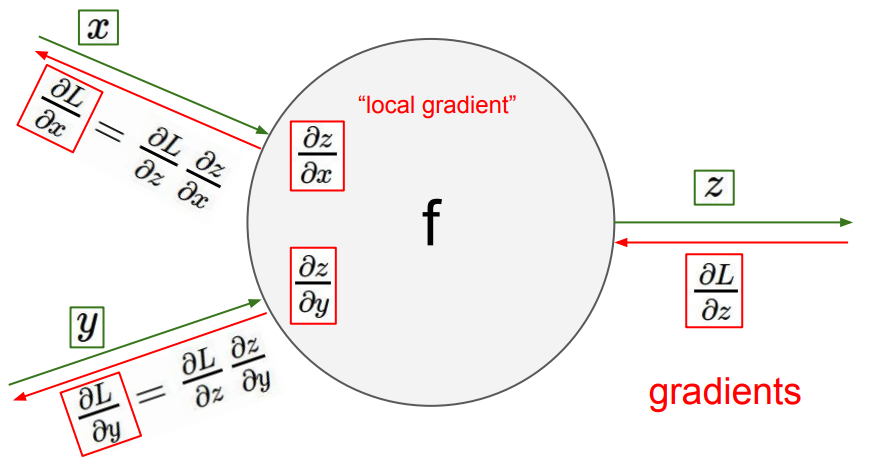 back_propagation